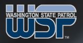 WSP logo